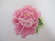 कढ़ाई पैच पर कस्टम आकार आयरन गुलाबी गुलाब जड़ी बूटी Peony फूल